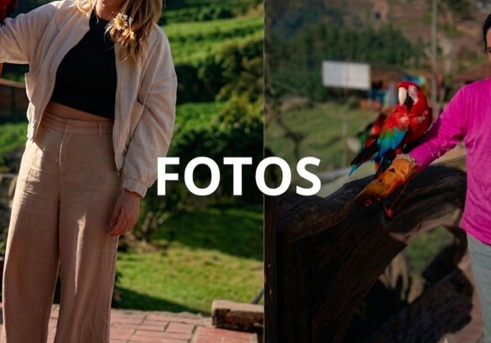 Fotos Reales