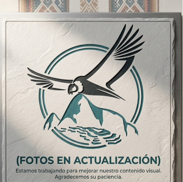 Oso Anteojo Andino